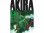 画像5: イタリア語で読む、大友克洋の「AKIRA」1巻-6巻 【B1】【B2】