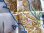 画像4: イタリア・パンマップ☆イタリア製コットン大判タペストリー 12枚セット　【カラー・マルチ】 (4)