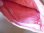 画像4: 刺繍いっぱいの可愛いマチ付きポーチ　【カラー・ピンク】 (4)