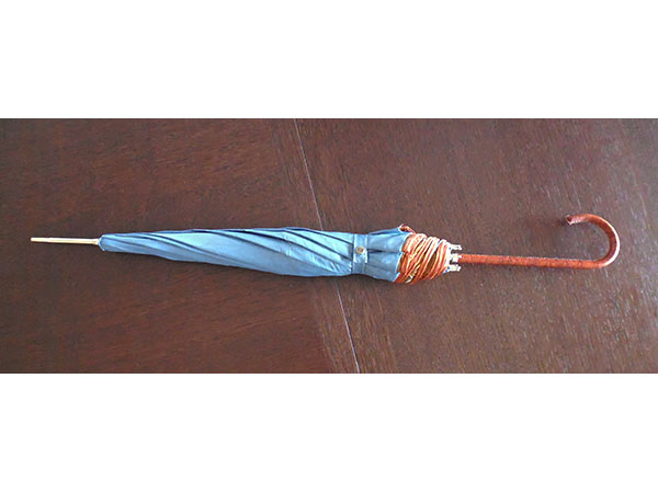 画像2: イタリア製シルクの雨傘　内布・刺繍　持ち手・革張り【カラー・ブルー】【カラー・ブラウン】