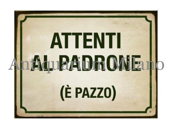画像1: イタリア語パネル　飼い主に注意　アホです！　ATTENTI AL PADRONE (E' PAZZO)　【カラー・グリーン】 (1)
