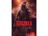 画像: イタリア語などで観る渡辺謙の「GODZILLA ゴジラ」　DVD  【B1】【B2】