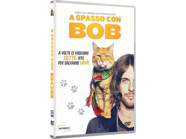画像1: イタリア語などで観るロジャー・スポティスウッドの「ボブという名のストリート・キャット」　DVD  【B1】【B2】 (1)