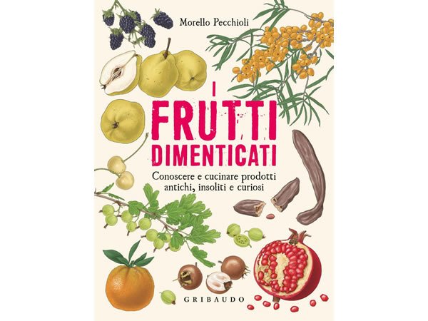 画像1: イタリア語で作る、忘れられたフルーツ - マイナーなフルーツのレシピ【B1】【B2】 (1)