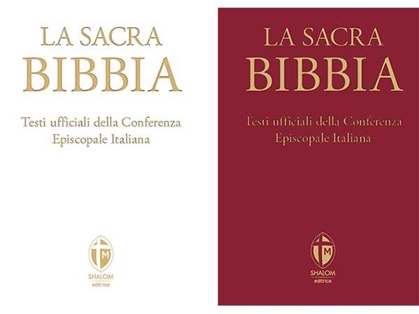 画像1: 【2色から選べる】ミニサイズ イタリア語で読む、聖書　La Bibbia【B2】【C1】 (1)