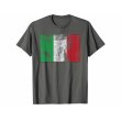 画像3: 【10色展開】イタリア語Tシャツ「ヴィンテージ風イタリア国旗」メンズ レディスS-XXXL (3)