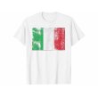 画像5: 【10色展開】イタリア語Tシャツ「ヴィンテージ風イタリア国旗」メンズ レディスS-XXXL (5)