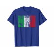 画像4: 【10色展開】イタリア語Tシャツ「ヴィンテージ風イタリア国旗」メンズ レディスS-XXXL (4)