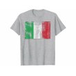 画像8: 【10色展開】イタリア語Tシャツ「ヴィンテージ風イタリア国旗」メンズ レディスS-XXXL (8)