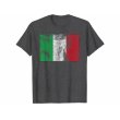 画像7: 【10色展開】イタリア語Tシャツ「ヴィンテージ風イタリア国旗」メンズ レディスS-XXXL (7)