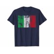 画像2: 【10色展開】イタリア語Tシャツ「ヴィンテージ風イタリア国旗」メンズ レディスS-XXXL (2)