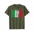 画像6: 【10色展開】イタリア語Tシャツ「ヴィンテージ風イタリア国旗」メンズ レディスS-XXXL (6)