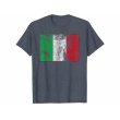 画像9: 【10色展開】イタリア語Tシャツ「ヴィンテージ風イタリア国旗」メンズ レディスS-XXXL (9)