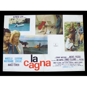 画像: イタリア　映画　アンティークポスター　La cagna （1972年）ひきしお マルコ・フェレーリ カトリーヌ・ドヌーヴ  50 x 70cm FOTO BUSTE