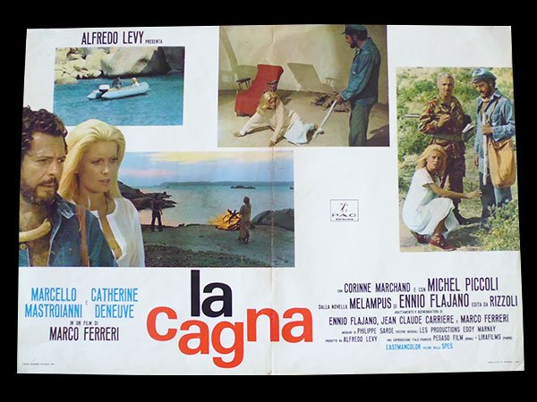 画像1: イタリア　映画　アンティークポスター　La cagna （1972年）ひきしお マルコ・フェレーリ カトリーヌ・ドヌーヴ  50 x 70cm FOTO BUSTE (1)