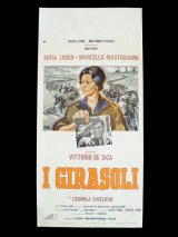 画像: イタリア　映画　アンティークポスター　 I girasoli（1970年）ひまわり ヴィットリオ・デ・シーカ マルチェロ・マストロヤンニ ソフィア・ローレン 33 x 70 cm locandine