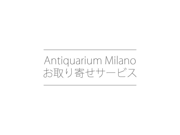 画像1: Antiquarium Milanoお取り寄せサービス (1)